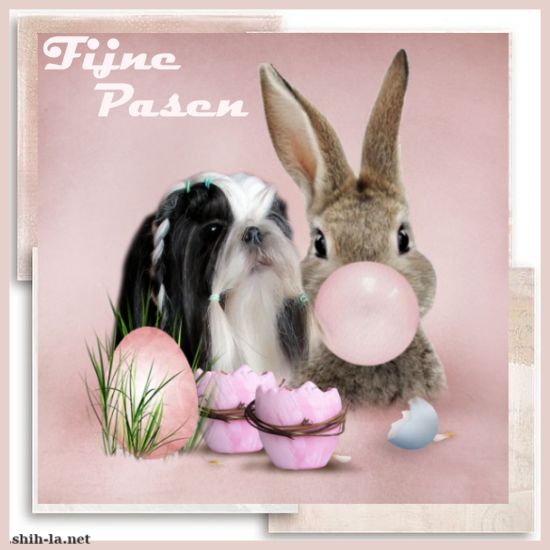14pasen