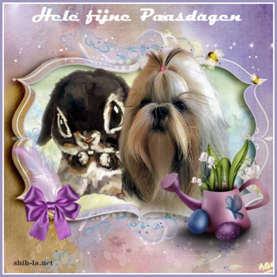 15pasen