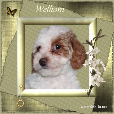 welkom