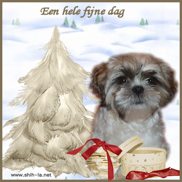 dag10