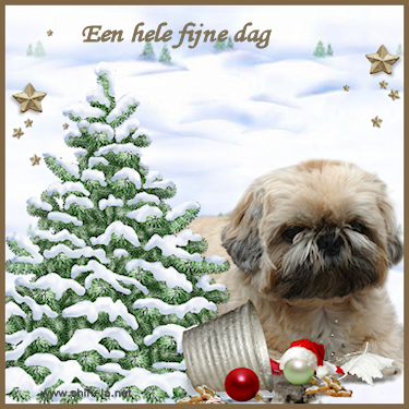 dag11