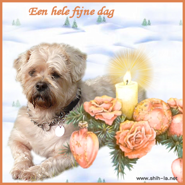 dag4
