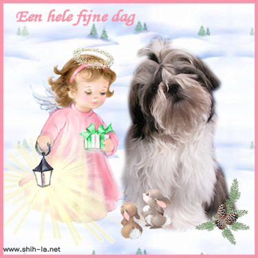 dag5
