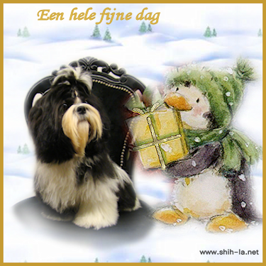 dag6