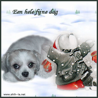 dag7