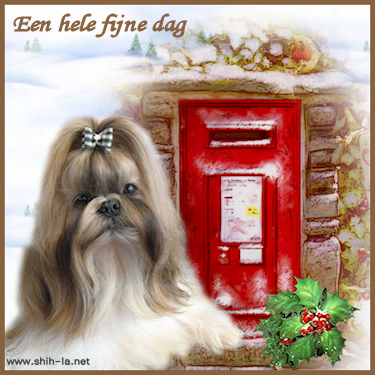 dag8
