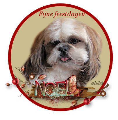 noel