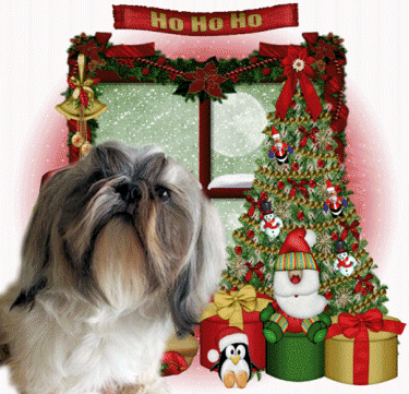 ho.ho