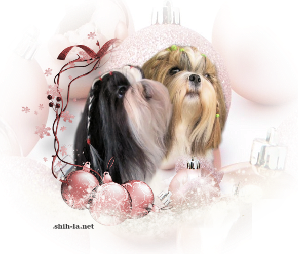 shihlanet