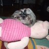Shih-la