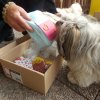 Hoera. 6 jaar, en kadotjes