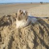 Hoog en droog