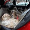 Netjes achter in de auto