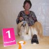 Show Lommel  Lih-an CAC/CACIB/BOB