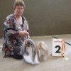 Show Eringshausen  Shih-la