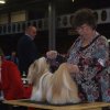 Show Bleiswijk 2008 Lih-an