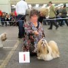 Show Bleiswijk 2008 Lih-an