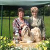 Show Knittelsheim(D) Lih-an