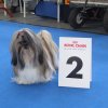 Show Oldenburg Shih-la