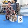 Show Oldenburg Shih-la