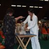 Show Arnhem