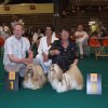 Show Arnhem Lih-an CAC/CACIB/BOS
