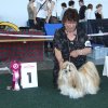 Show Saarbrucken , Lih-an