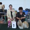 Show Saarbrucken , Lih-an CAC/CACIB