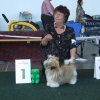 Show Saarbrucken , Zafirah best pup