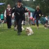 Show Denemarken