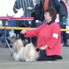 Show Saarbrucken , Lih-an