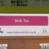 Dogshow de Crufst, Birmingham Engeland 2011 , Lih-an