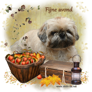 appeltjes