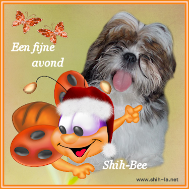 Shih.bee