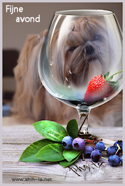 glas