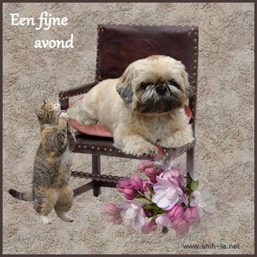 stoeltje