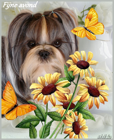 vlinder