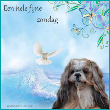 1zondag