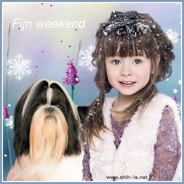 11.weekend