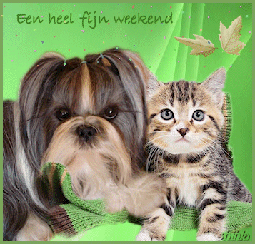 Fijn weekend