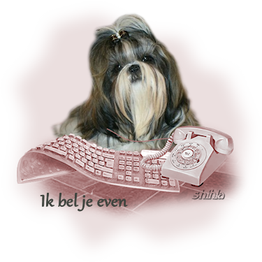 bellen