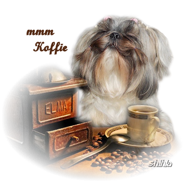Shih-Tzu met koffiemolen en kopje