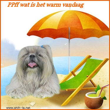 warm