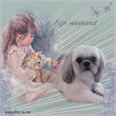 weekend