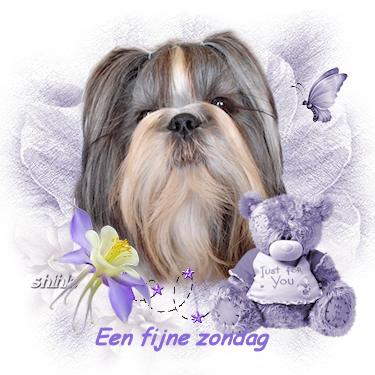 zondag
