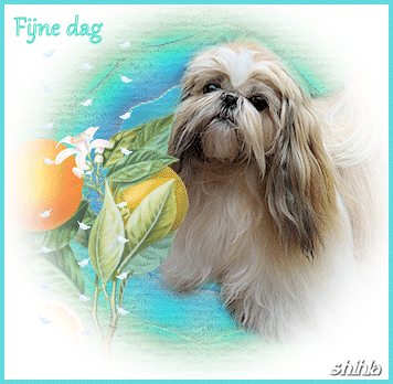 Fijne dag