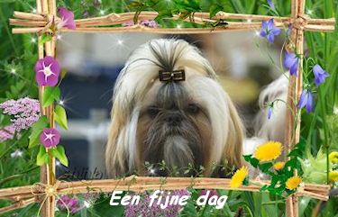 fijne dag