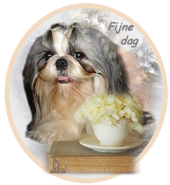Fijne dag