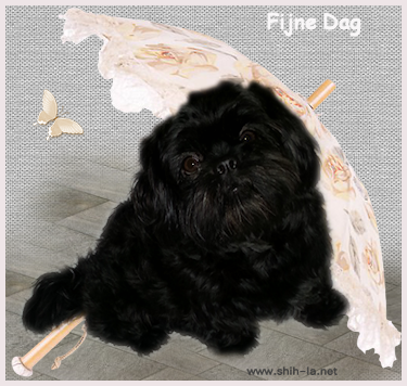 Fijne dag