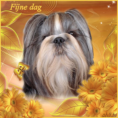 Fijne dag